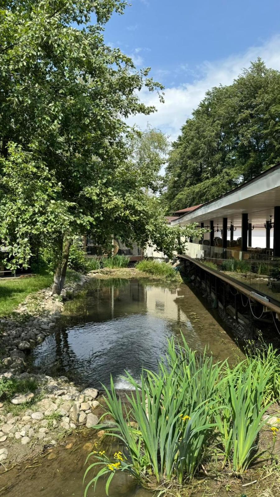 Marabou Resort Braşov Exterior foto